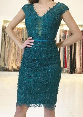 Summer Splash Sale Fashion Appliques Sheath homecoming Dress, Beading Short Evening Dress for Party, Formal Gown cg2160